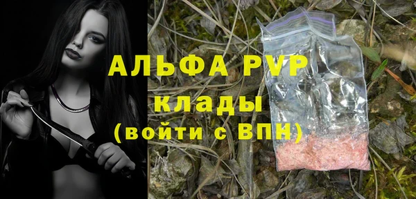 молекула духа Нефтекумск